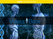 Visible Body x iGroup