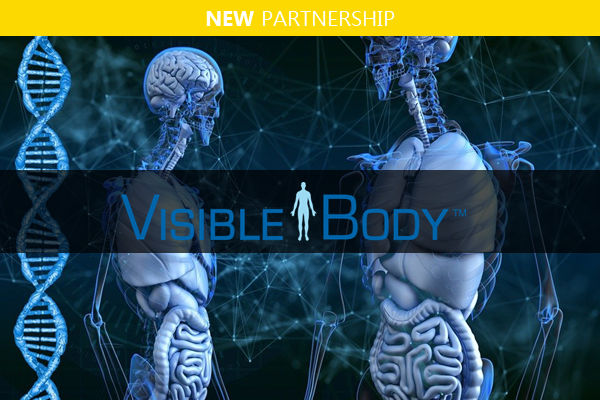Visiblebody Visible Body x iGroup